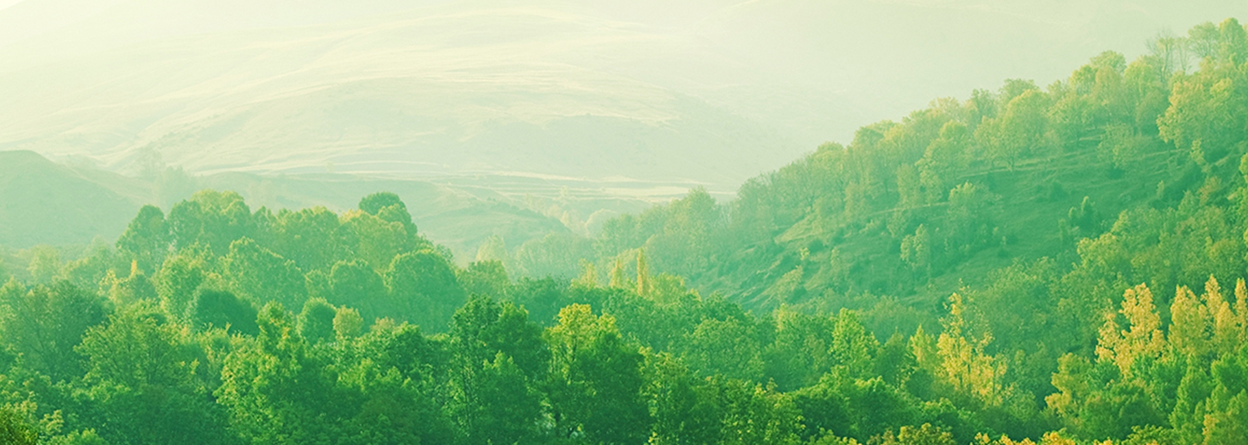 Groen uitzicht over bossen en heuvels